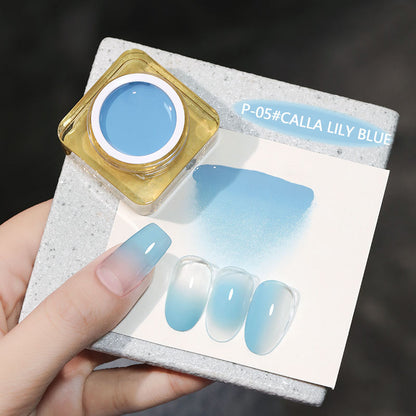 High Saturation Natural Blending Gradient Blusher UV Nail Gel Set