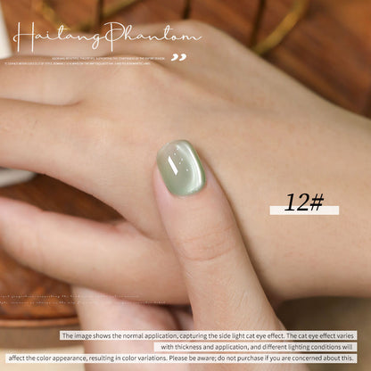 36 Colors Pearl Cat Eye Gel Polish Set Magnetic Aurora UV LED Soak Off Nail Gel